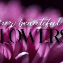 Your Beautiful Flowers