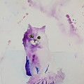 Purple Kitten Watercolour 