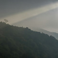 Foggy mountain ridge - Spotlight on single tree