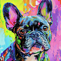 French Bulldog Colored Portrait #10