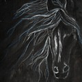 HORSE ON BLACK 1162 pastels