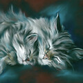 Sleeping Tabby Cat and Kitten