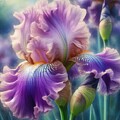 Springtime Purple Iris Flower