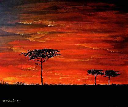 Colorful Sundown  Painting Only