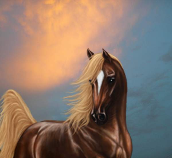 Kentucky Derby Jockey - On A Real Horse