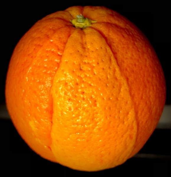 Oranges- The Fruit- Your One Best Photo