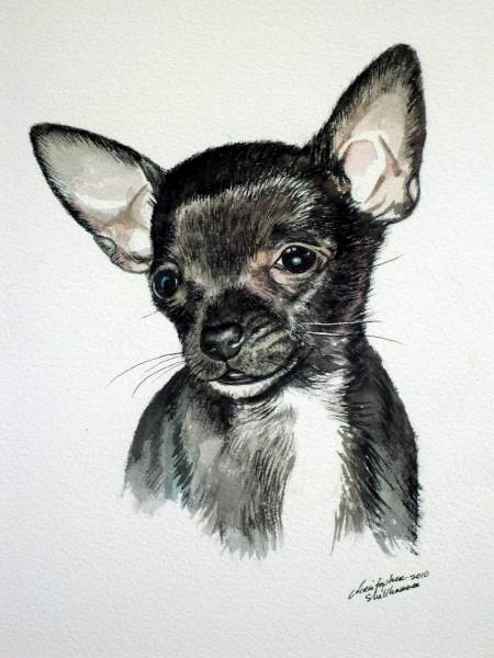 Pet or Animal Portrait Painting