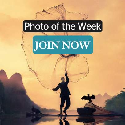 Photo of the Week 01