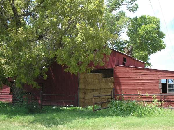 Photography - Hay Barn With Hay And Green Grass On Ground 