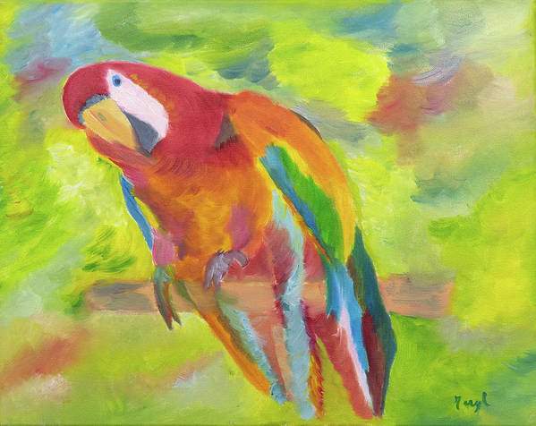 Rainbow Colored Birds - 3 Images - Any Style or Medium 