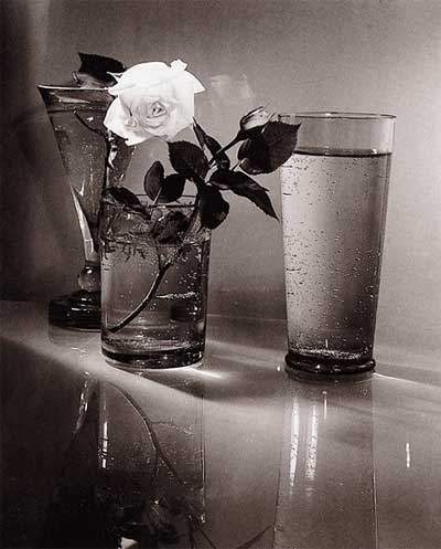 Still Life Works In Black And White 