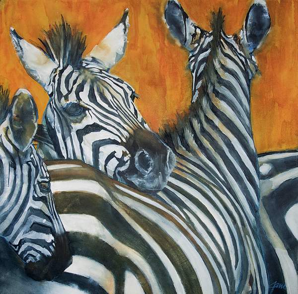 Zebras Paintings And Drawings Only