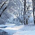 Winter Landscapes Photography Only