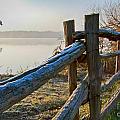 FENCES in the World - For Travel Art Group Members...