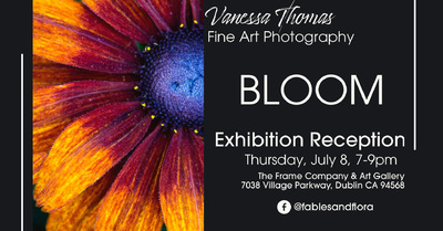 Bloom Fine Art Floral Photography Exhibition...