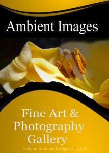 Ambient Images