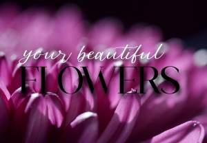 Your Beautiful Flowers