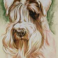 DOGS - TERRIER BREED